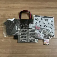 Straykids dominate アプグレグッズ