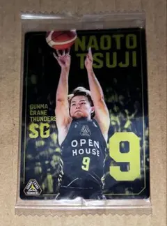 2025年最新】群馬クレインサンダーズ 辻直人の人気アイテム