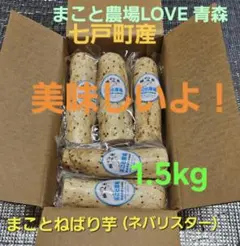 青森県七戸町産ねばりまこと芋1.5kg(ネバリスター)のサムネイル