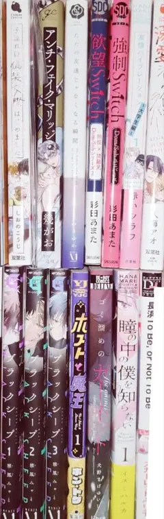 特典有 12冊 60サイズ まとめ売り セット ボーイズラブ BL 漫画コミック