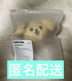 セブチ SEVENTEEN MINITEEN コインポーチ ドア ドギョム