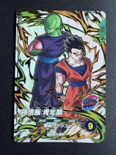 PUR SDV9-PUR1 孫悟飯:青年期