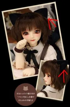 SDC 竜 ヘッド　新品　ボークス VOLKS　ドルパ限定 Doll 2026年最新】ボークス sd ヘッドの人気アイテム - メルカリ