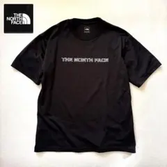 希少【THE NORTH FACE】グラフィック ビッグ Tシャツ Lサイズ 黒のサムネイル