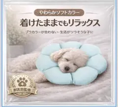 Item thumbnail for item 4221fffb-01ba-490f-9390-961e47819c66