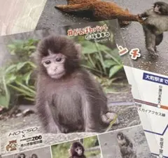 がんばれパンチ Version2 ＋動物園マップ付き - メルカリ
