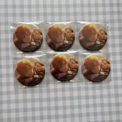 プロセカ 東雲彰人 缶バッジ 6点セット