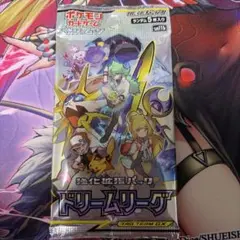 ポケちゃま様 リクエスト 2点 まとめ商品