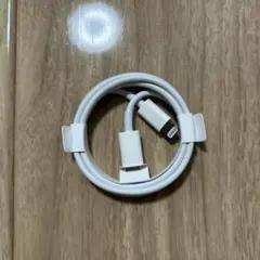 新品未使用⭐︎Apple純正 USB-C to Lightningケーブル