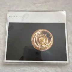 2026年最新】people in the box cutの人気アイテム - メルカリ
