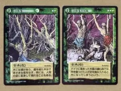 水木しげる(鬼太郎)妖怪伝トレーディングカード〜ズゥー - メルカリ