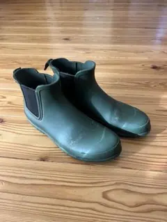 Item thumbnail for item 1975eee7-3f0e-4efd-8872-2be35060e2ac