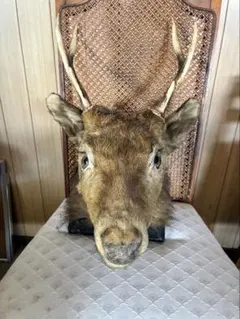 鹿剥製 鹿オブジェ インテリア Neboka 鹿の頭 3D 壁掛け 鹿 オブジェ