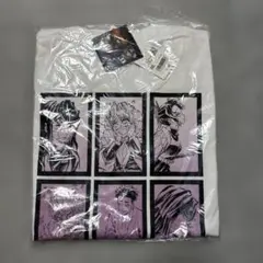 Item thumbnail for item e0d8164e-c61d-414e-bfcc-0039e2c3c93b