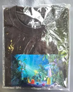 Number_i 3XL グッズ 好きになっちゃう Tシャツ 新品未開封 - メルカリ