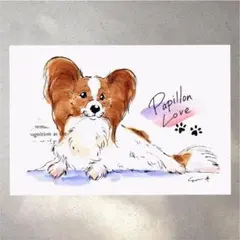 イラスト 原画 ポストカード 絵 【パピヨン】187