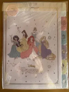 新品☆未開封　Disney Princess クリアファイル　スリコ