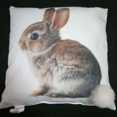 うさぎ　プリントクッション　DAISO　ウサギ