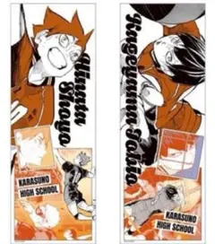 2点　日向翔陽　影山飛雄　ハイキュー　キャラポスコレクション　ポスター