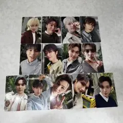 seventeen 消費期限 通常盤　封入トレカ　13種コンプ