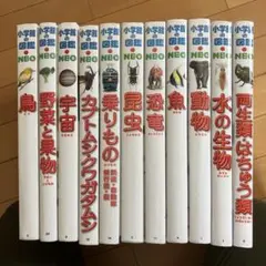 小学館の図鑑NEO 11冊セット