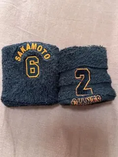 Item thumbnail for item 7ec34e67-1be6-44fa-a547-899938e42d18