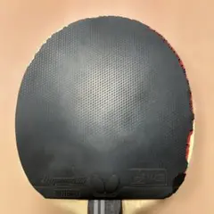 卓球用ラバー ディグニクス05