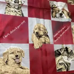 GuGuWorld ハンカチ　ワンちゃん　ネコちゃん　犬　猫　パピー