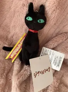 ジブリパーク 魔女の宅急便 魔女の谷 先輩猫 先輩魔女 猫 ネコのサムネイル