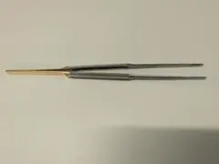 Item thumbnail for item 19a62c0b-29ec-4c06-a9b7-47a7e90b52a7