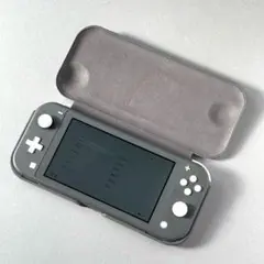 Nintendo Switch Lite本体グレー+純正ケース・充電器
