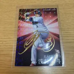 Item thumbnail for item aee3f0d0-d183-4d27-84b4-f20aafd386d8