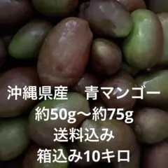 宮崎県産　グリーンマンゴー　箱込み１４キロ 沖縄県産 青マンゴー 箱込み14キロ - メルカリ