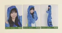 乃木坂46 生写真 福井県ver.コーデ 恐竜 長嶋凛桜 3種コンプ - メルカリ