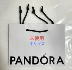 正規品　値下げ不可　パンドラ　Pandora 紙袋　ショッパー　中サイズのサムネイル