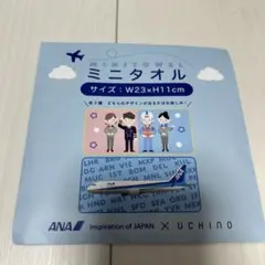 ANA UCHINO ミニタオル