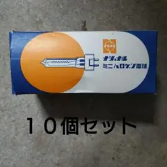 未使用品　ナショナル ミニハロゲン電球 JD110V 250W/G　10個セット