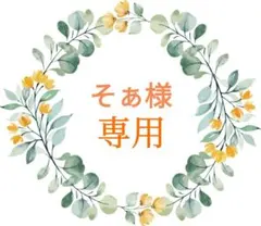 そぁ様 リクエスト 2点 まとめ商品