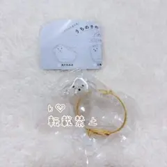 うちの子のけだまだま 犬のけだまだま 丸たれみみ