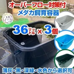 5/10値上】メダカ飼育ケース 80㍑黒x2個 トロ舟 オーバーフロー 金魚