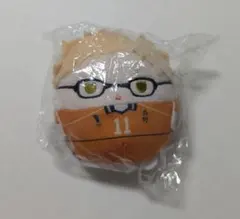 ハイキュー!!　ふわコロりん　ふわコロ　月島蛍