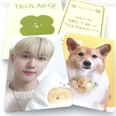 2025年最新】TEOLAEGIの人気アイテム - メルカリ
