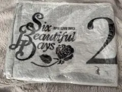 Item thumbnail for item 1695471f-2df1-4845-af45-ab36c37dfddf