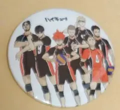 ハイキュー コレクション缶バッジ 烏野