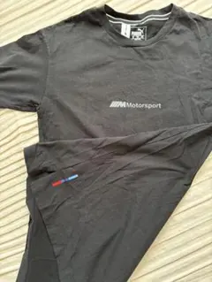 Item thumbnail for item 317d8c93-0d4d-4928-8247-9bf44470038f