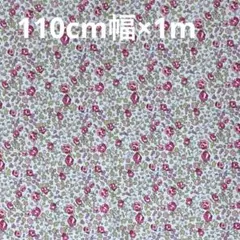 リバティ　タナローン　エロイーズEloiseピンク系