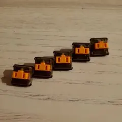 Item thumbnail for item 24755065-9418-4554-a73b-69f67d734e8a