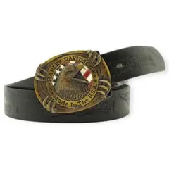 Item thumbnail for item 93bed7a6-92d0-4009-91b2-8f8184bc4dc7