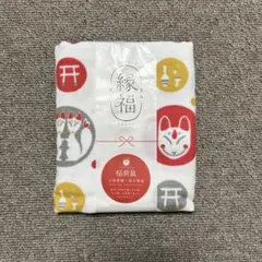 Item thumbnail for item 8c44deb3-1cbe-4621-b381-151c8e899ace