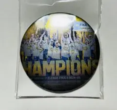 Item thumbnail for item cf459534-45d0-4fa9-8a85-38f64d6c7a23